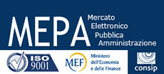 Mepa - Mercato Elettrico Pubblica Amministrazione